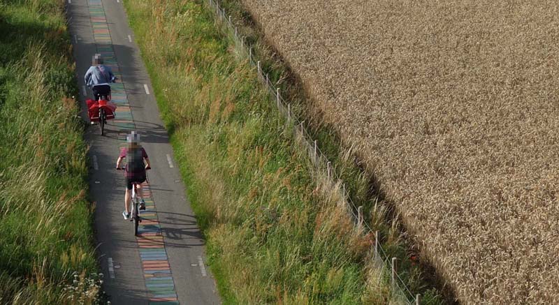 Photo from a high vantage point, looking down on a pedestrian/cycle path (left of picture). The path has coloured stripes laterally along a central strip. There are two people cycling, heading away from the camera. To the right of the path and its generous verge, there is a field with an arable crop. It is a sunny day and the cyclists are making distinct shadows on the path.